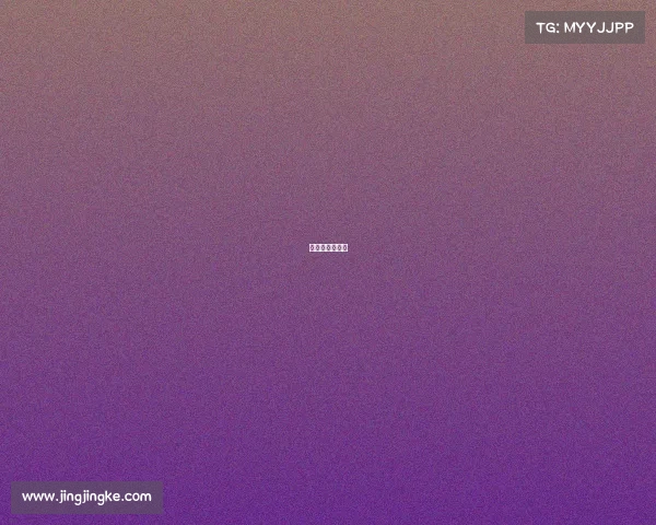 赛事场地规划图