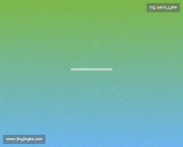 二零二四福特宝赛事燃情启幕全球顶尖车手竞速角逐荣耀巅峰